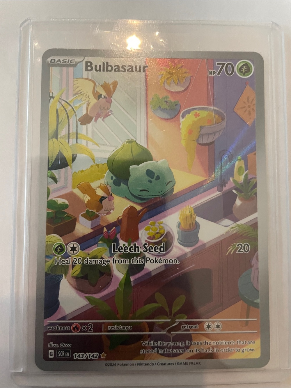 Bulbasaur Full Art Pokémon Card #143
